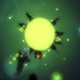 spore game