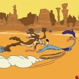 road runner’s death valley rally game