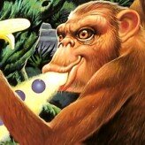 toki – going ape spit game