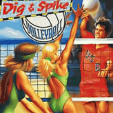 dig & spike volleyball game