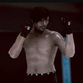 mfs – mma fighter game