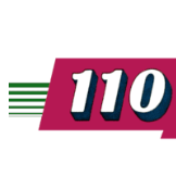 110 in 1 game