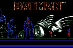 Batman Video Game