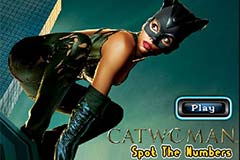 Catwoman Spot The Numbers